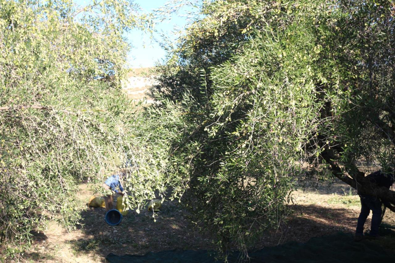 La Locanda Dei Fiori Bompensiere Exteriér fotografie